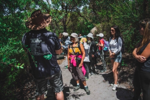 Wilsons Promontory National Park Full-Day Eco Tour