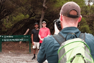 Wilsons Promontory National Park Full-Day Eco Tour