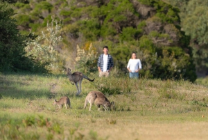 From Melbourne: Wilsons Promontory Wilderness Tour