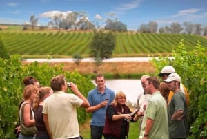 Melbourne: Private vinsmakingsturer i Yarra Valley