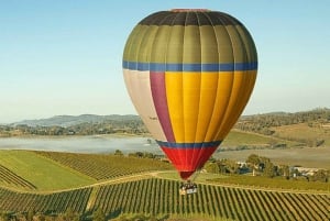 Melbourne: Private vinsmakingsturer i Yarra Valley