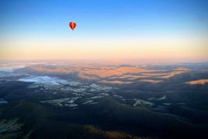 Melbourne: Private vinsmakingsturer i Yarra Valley