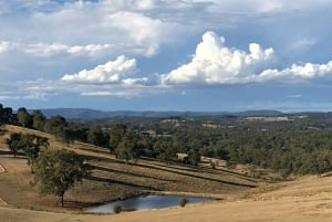 Melbourne: Private vinsmakingsturer i Yarra Valley