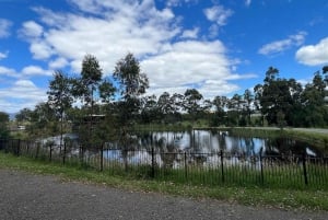 Melbourne: Private vinsmakingsturer i Yarra Valley