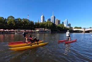 Yarra River, Melbourne Waterbike Tour