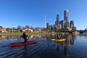 Yarra River, Melbourne Waterbike Tour