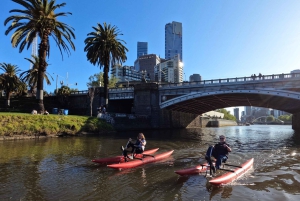 Yarra River, Melbourne Waterbike Tour