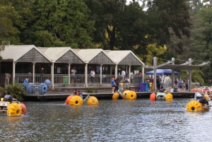 ヤラバレー＆ダンデノン山脈：景観バスツアーとランチ