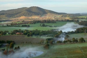 Yarra Valley: Balloon Flight with Breakfast
