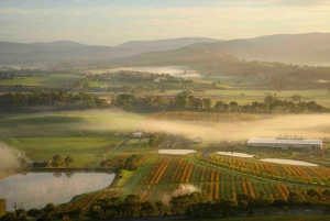 Yarra Valley: Balloon Flight with Breakfast