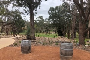 Yarra Valley: Bus Wine Tour mit Mittagessen und einem Glas Wein