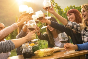 Yarra Valley: Bus Wine Tour mit Mittagessen und einem Glas Wein