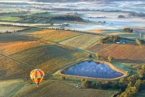 Yarra Valley: Hot Air Balloon with Breakfast & CBD Transfers