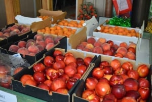 Yarra Valley: Traktortur i frukthagen med fruktsmaking