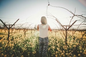 Best Food and Wine Tours in Melbourne