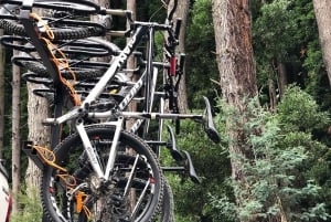 Yarra Valley: Redwood Forest Mountain Bike Adventure
