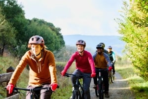 Yarra Valley: Redwood Forest Mountain Bike Adventure