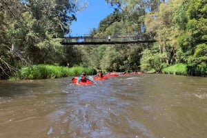 Yarra Valley: Self-Guided River Sledding Adventure