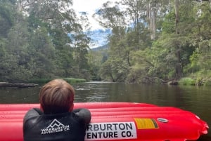 Yarra Valley: Self-Guided River Sledding Adventure