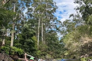 Yarra Valley: Self-Guided River Tubing Adventure