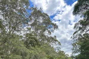 Yarra Valley: Self-Guided River Tubing Adventure