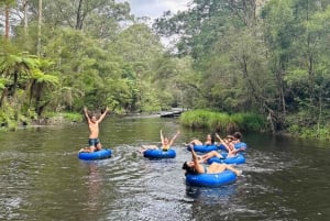 Yarra Valley: Selbstgesteuertes River Tubing Abenteuer
