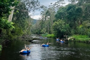 Yarra Valley: Selbstgesteuertes River Tubing Abenteuer