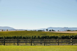 Yarra Valley: Wine and Food Tour from Melbourne