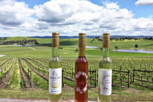 Yarra Valley: Wine and Food Tour from Melbourne