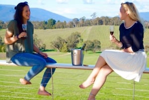 Yarra Valley: Wine, Cider, and Chocolates Day Tour