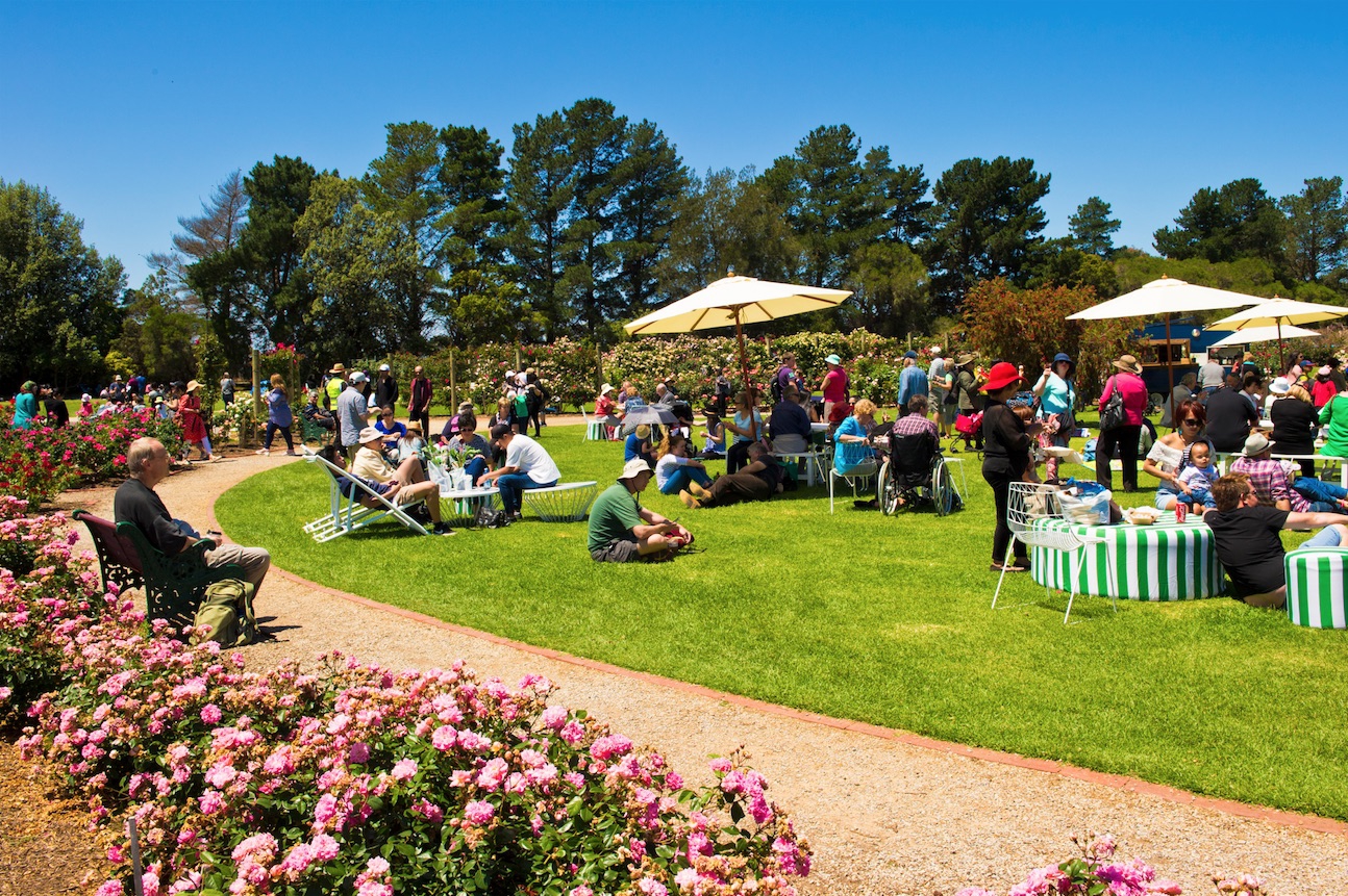 2016 State Rose & Garden Show | My Guide Melbourne