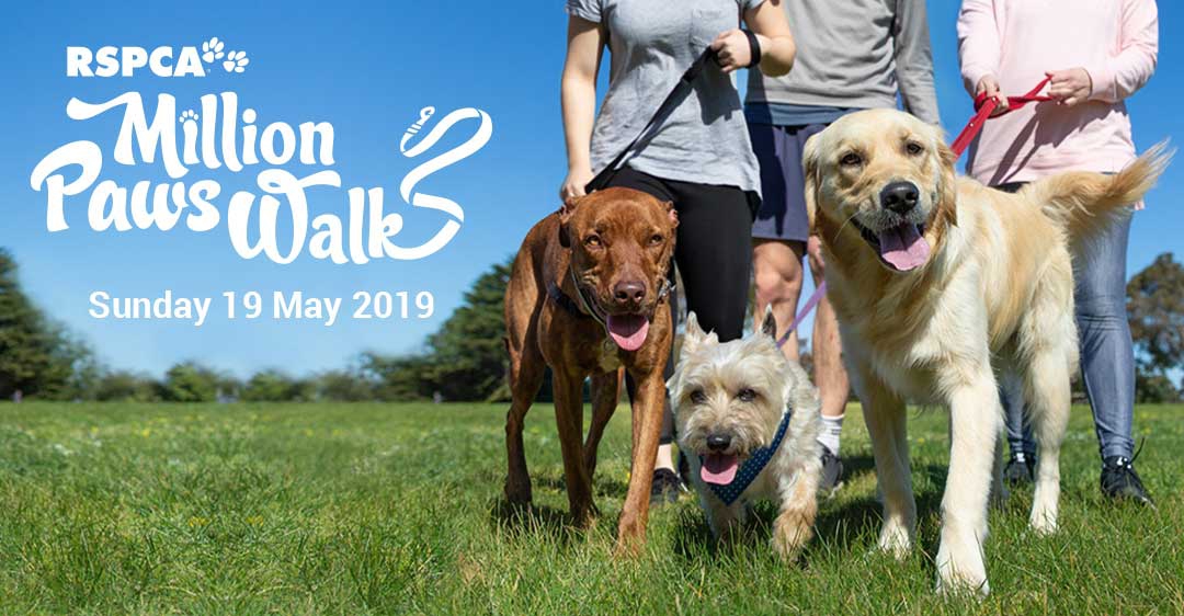 Million Paws Walk Ballarat 2019, RSPCA | My Guide Melbourne