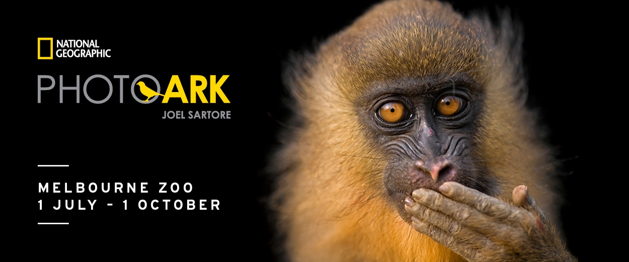 National Geographic Photo Ark Exhibition