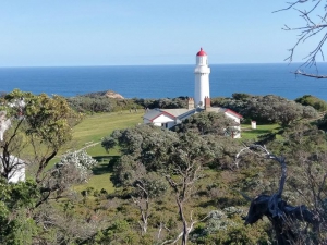 Cape Schanck Lighthouse + Pirate