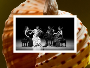 Esmé Quartet | Musica Viva Australai