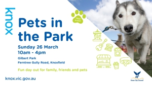 Knox Pets in The Park