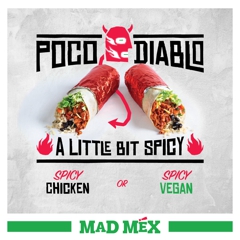Mad Mex Slightly Spicy for Winter