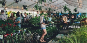 Melbourne - Huge Indoor Plant Sale - Tropicana Party