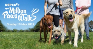 Million Paws Walk Ballarat 2019, RSPCA