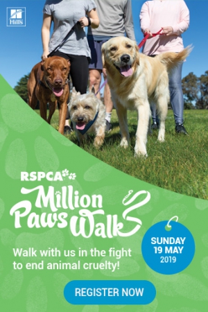 Million Paws Walk Ballarat 2019, RSPCA