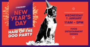 New Year's Day Hair of the Dog party at Eynesbury