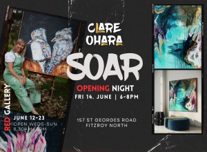 SOAR Art Exhibition Opening Night