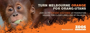 Turn Melbourne Orange