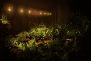Twilight Indoor Plant Warehouse Sale - Jungle by Moonlight