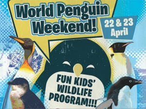 World Penguin Weekend 2017