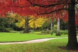 Albury-Wodonga: Big City Convenience, Small Town Charm