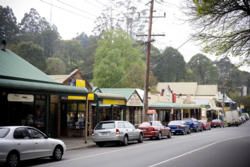 Dandenong Ranges: Experience the Hills