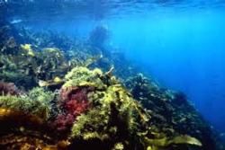 Geelong and Bellarine Peninsula