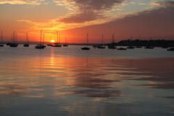 Geelong: Galleries, Gardens and Culinary Delights