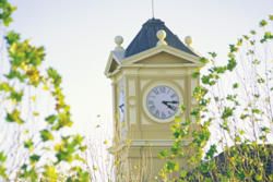 Hamilton: A Historic Beauty